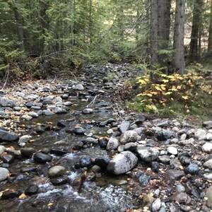 Meet your Posher, Kara-lee